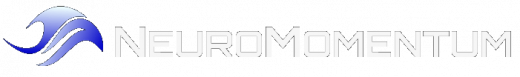 NeuroMomentum Consulting Services
